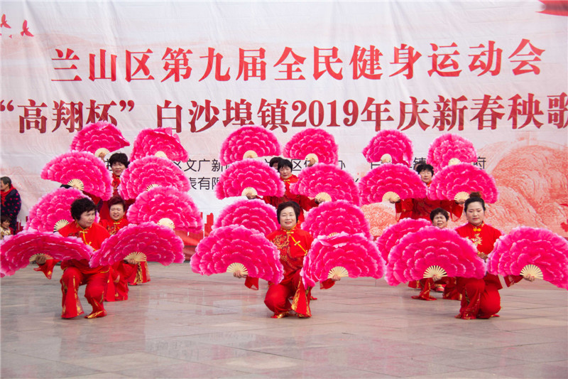 临沂白沙埠2019GDP_临沂白沙埠2020规划图(3)