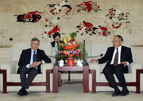 2012国家副主席是谁