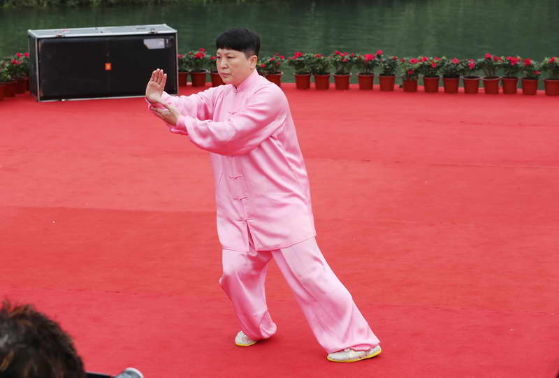 第五届中国东盟太极一家亲交流活动在桂林阳朔成功举行