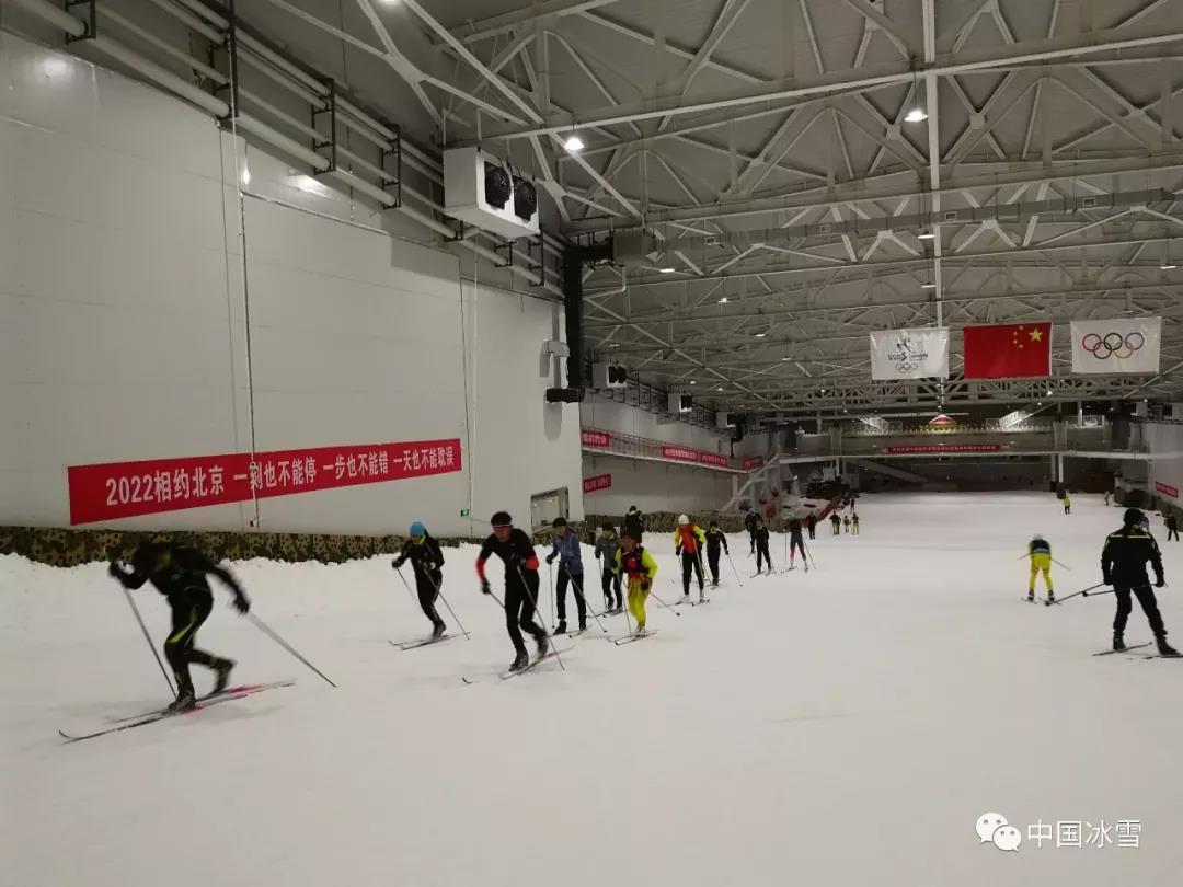 冬奥，你知道吗｜自由式滑雪空中技巧，中国队的雪上王牌_赢家_澎湃新闻-The Paper