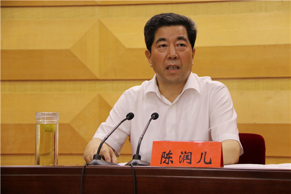 第十三届全运会河南省代表团成立大会召开省长陈润儿出席