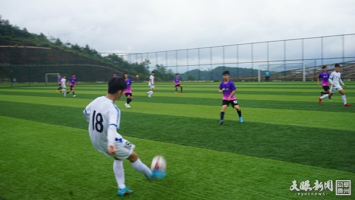 24412079.jpg