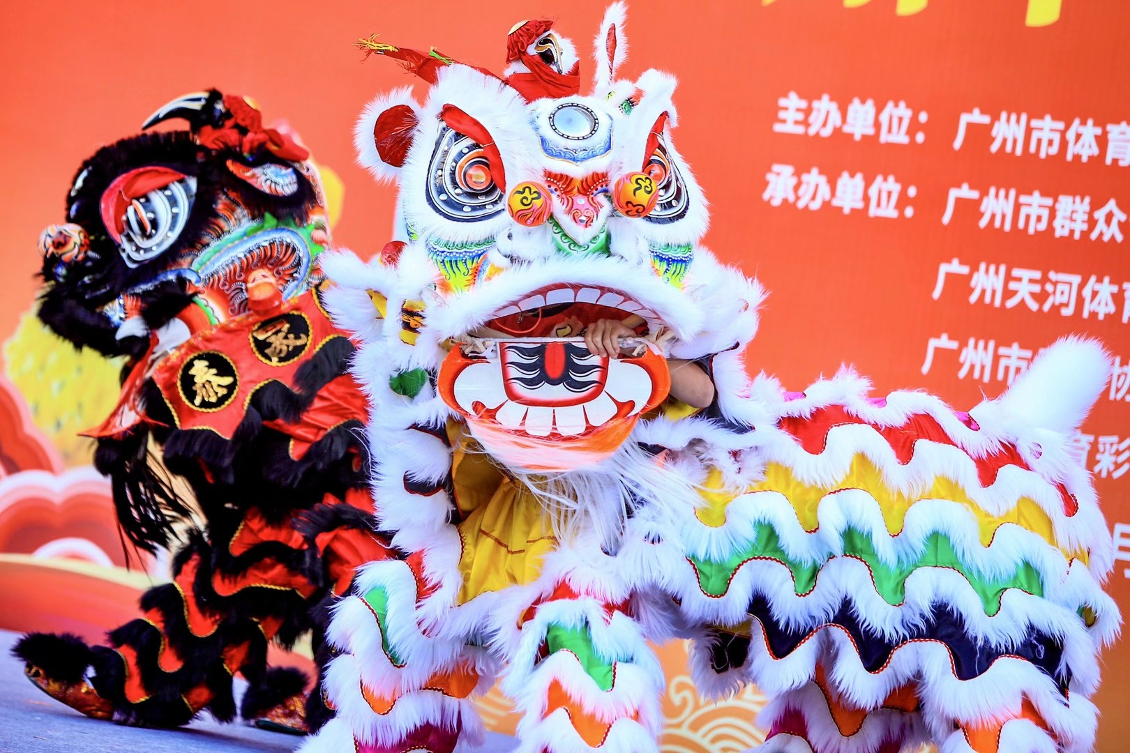 广州市传统醒狮邀请赛落幕