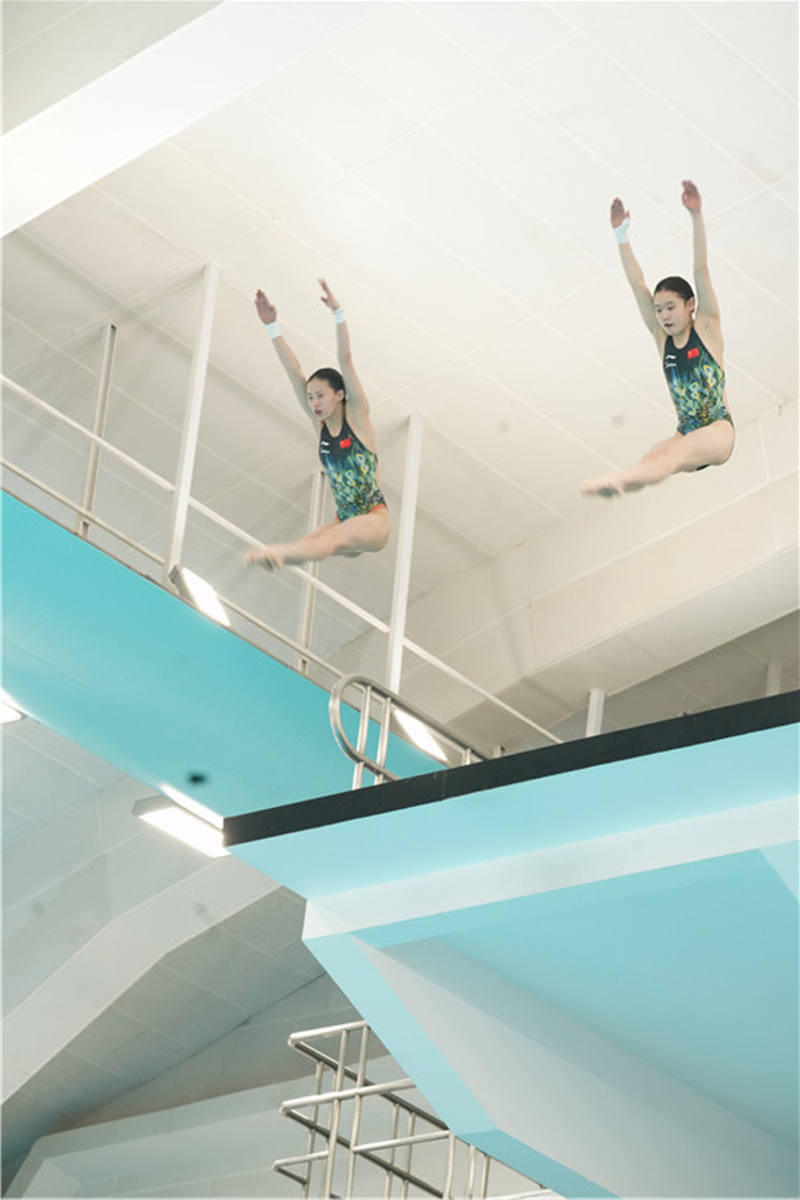 中国跳水冠军达标赛小将抢眼国家跳水队以赛促训砺精兵