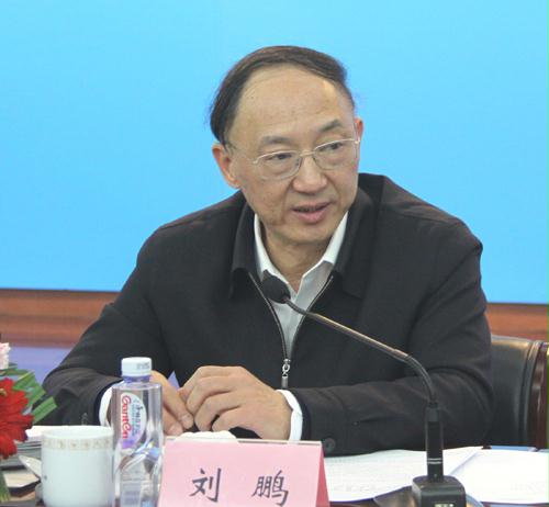 国家体育总局局长刘鹏