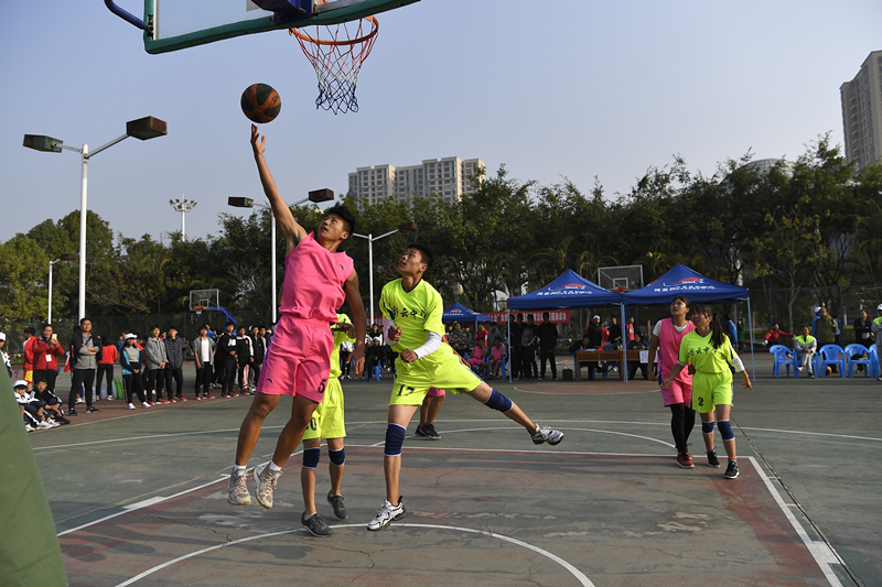 体育YNET.com全面解读最新赛事动态与运动员背后的故事