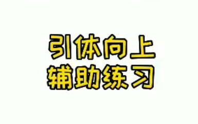 中小学生居家练习引体向上