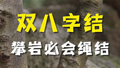 双八字结