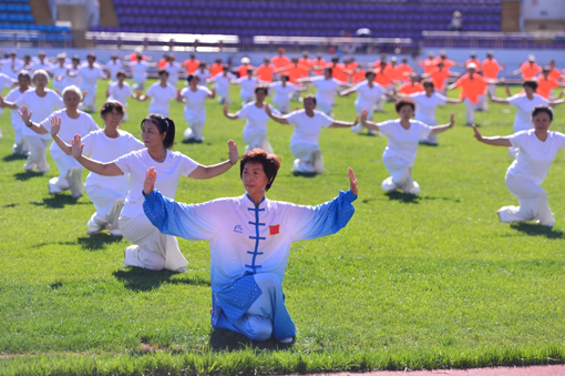 2017年全国百城千村健身气功交流展示系列活动乌鲁木齐启动仪式