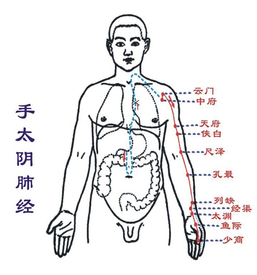 大肠经图片脉络图片