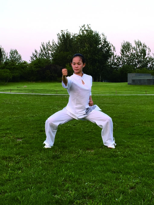 健身气功运动干预系列电脑眼