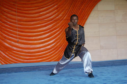 2012年非洲国家武术培训班圆满结束