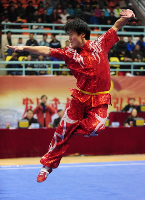 发布时间:2012-11-05 信息来源 : 武术运动管理中心 作者 : 杨卓越